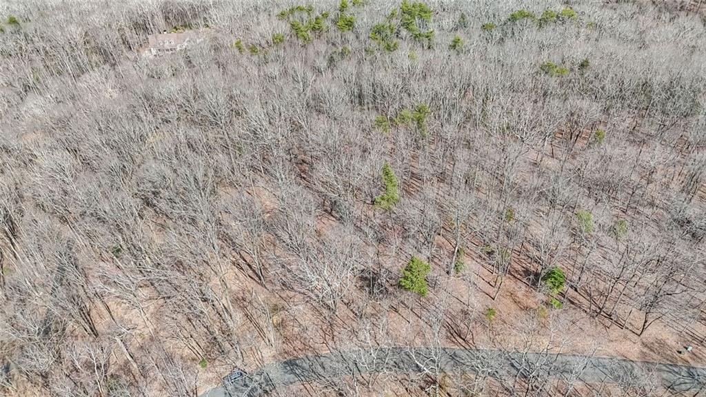 22 Andes Ridge Jasper, GA 30143 - Photo 6 of 11