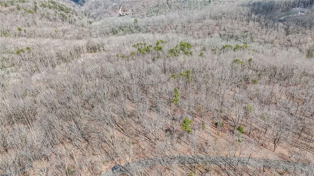 22 Andes Ridge Jasper, GA 30143 - Photo 8 of 11