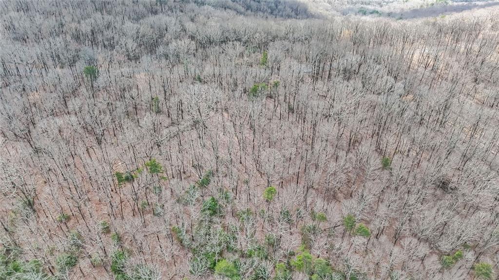 22 Andes Ridge Jasper, GA 30143 - Photo 9 of 11