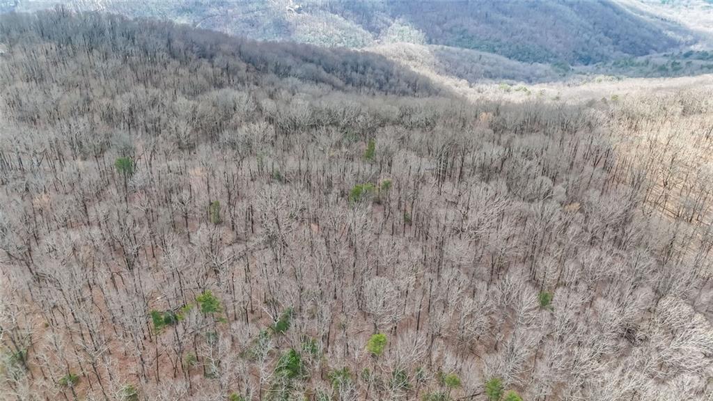 22 Andes Ridge Jasper, GA 30143 - Photo 10 of 11