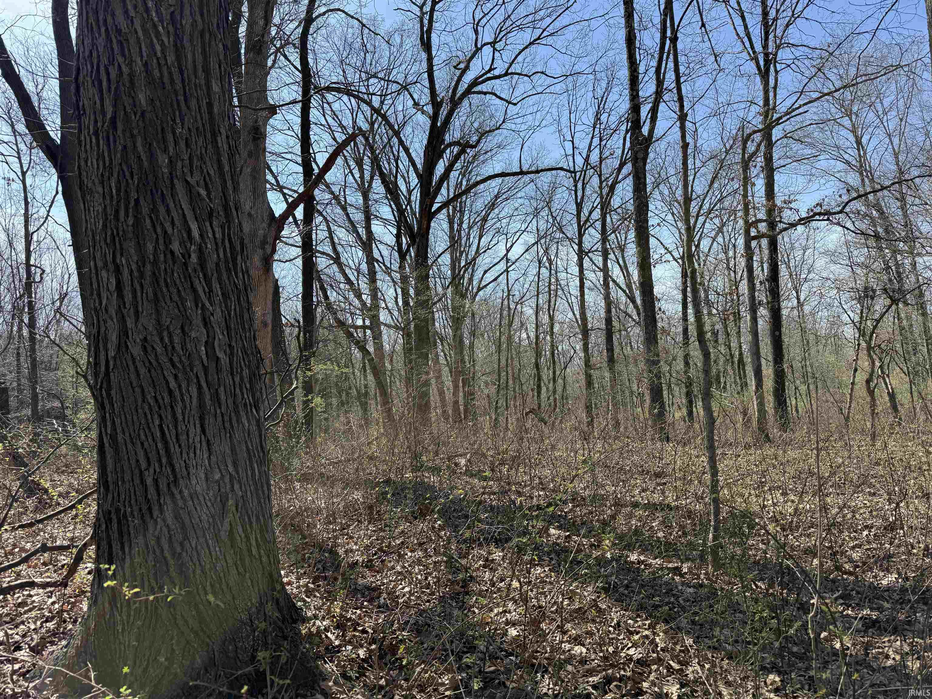 Tract 1-st Rd Tract 1-st Road Stendal, IN 47585 - Photo 11 of 36