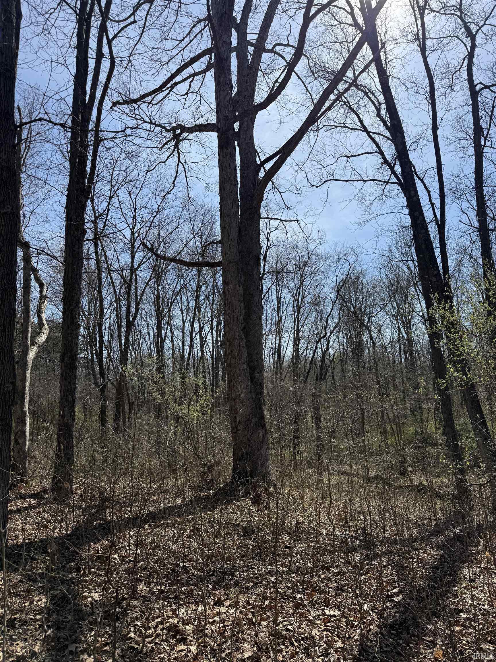 Tract 1-st Rd Tract 1-st Road Stendal, IN 47585 - Photo 12 of 36