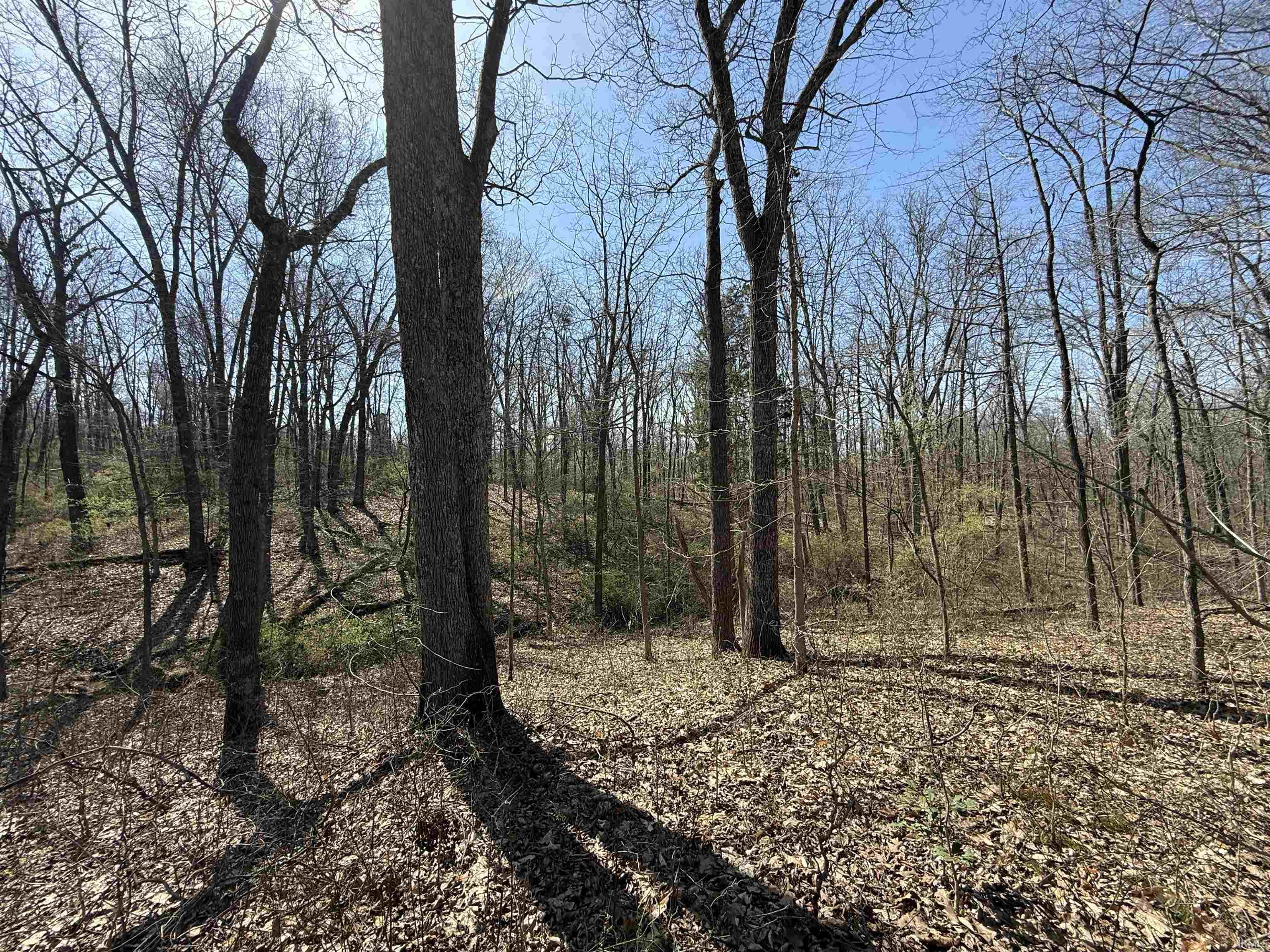 Tract 1-st Rd Tract 1-st Road Stendal, IN 47585 - Photo 13 of 36