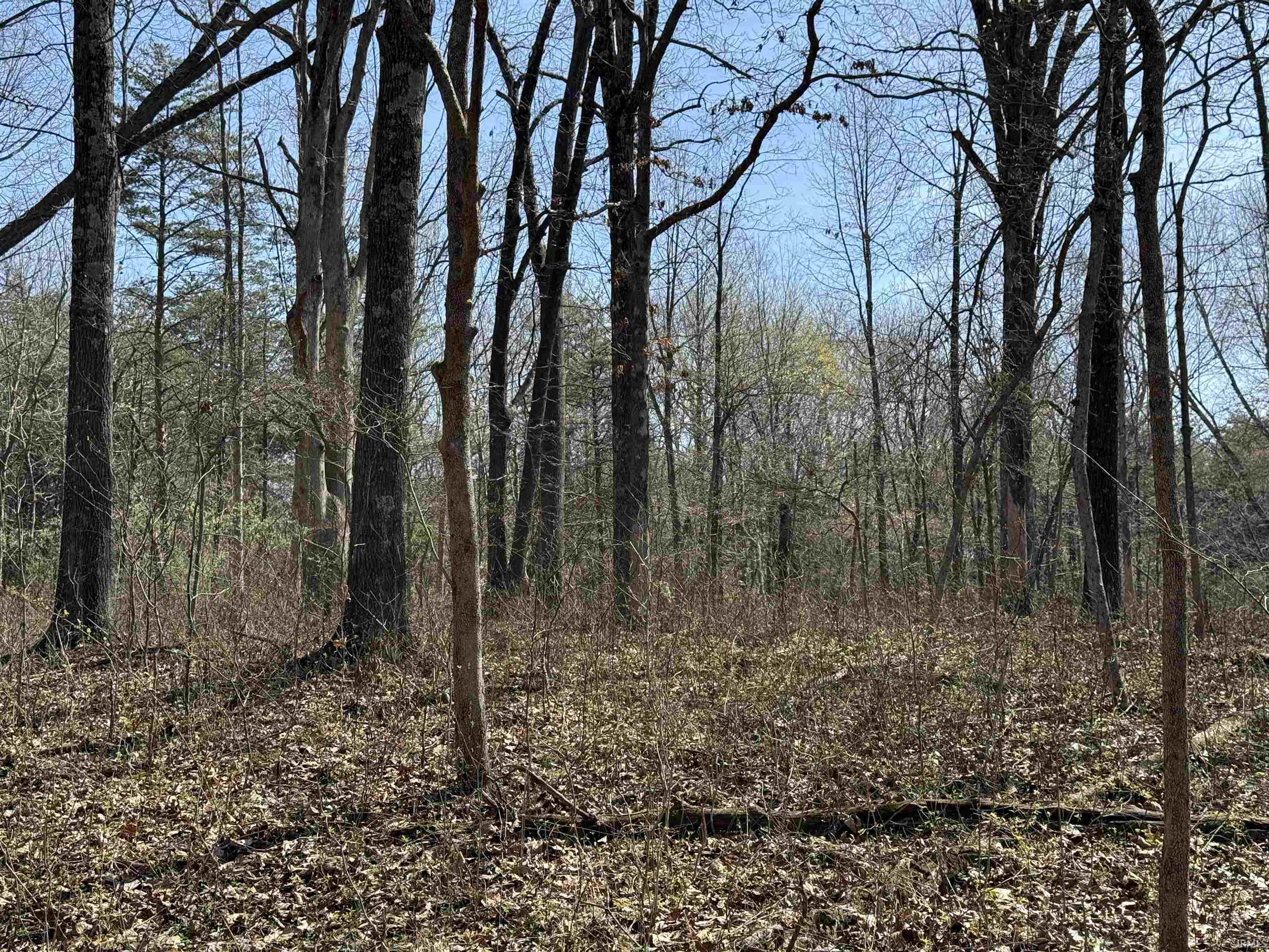 Tract 1-st Rd Tract 1-st Road Stendal, IN 47585 - Photo 14 of 36