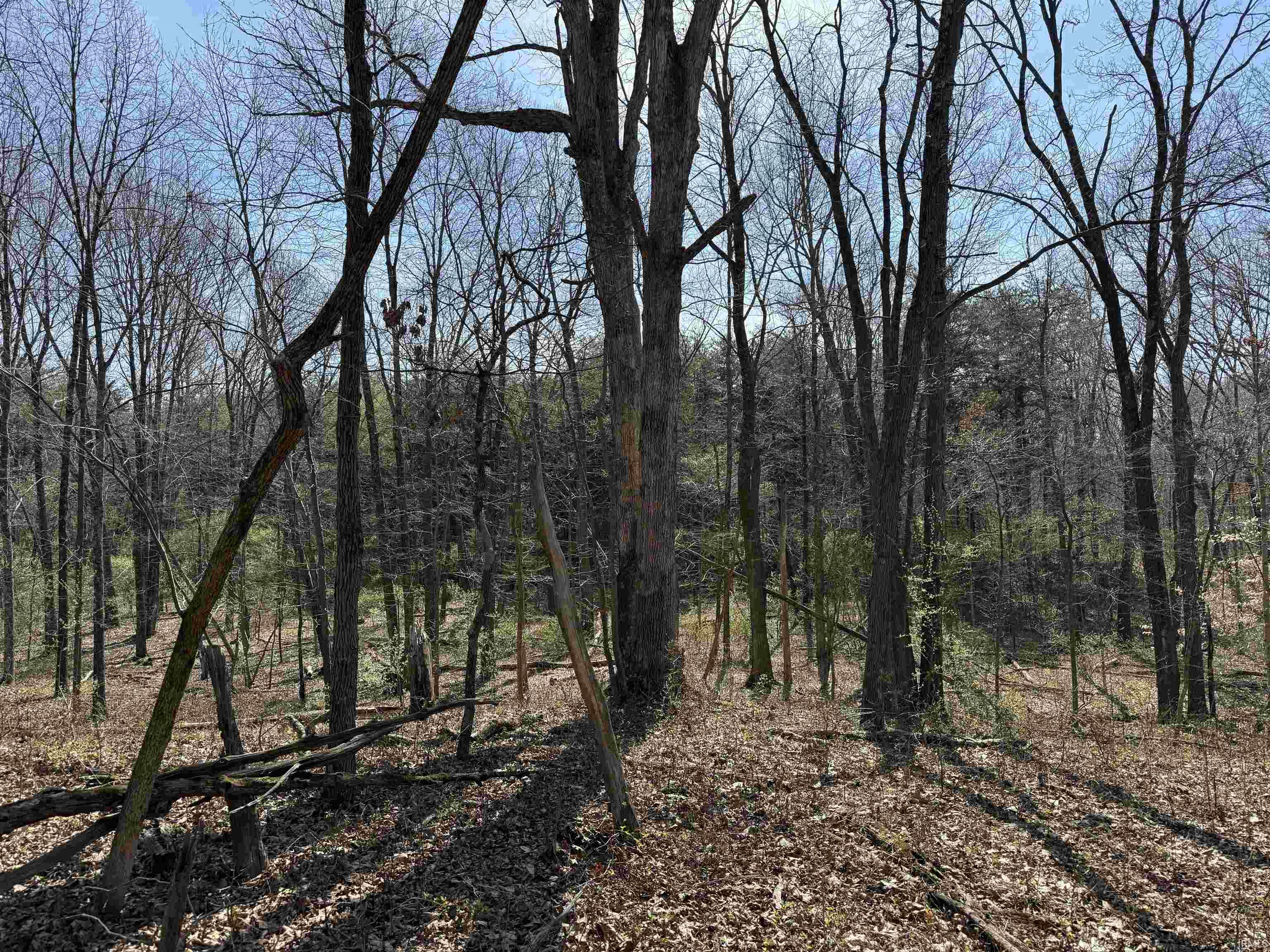 Tract 1-st Rd Tract 1-st Road Stendal, IN 47585 - Photo 15 of 36