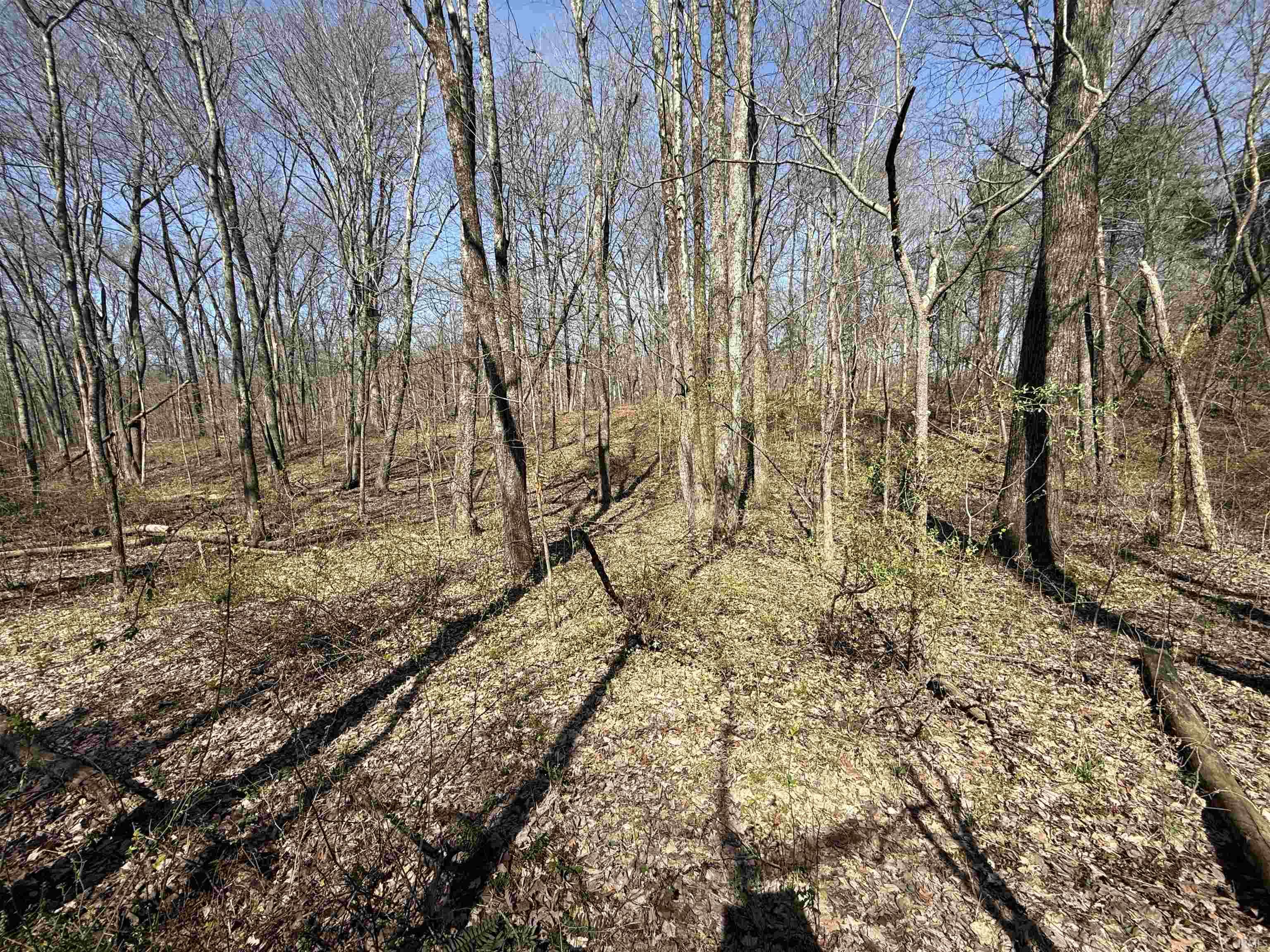 Tract 1-st Rd Tract 1-st Road Stendal, IN 47585 - Photo 16 of 36