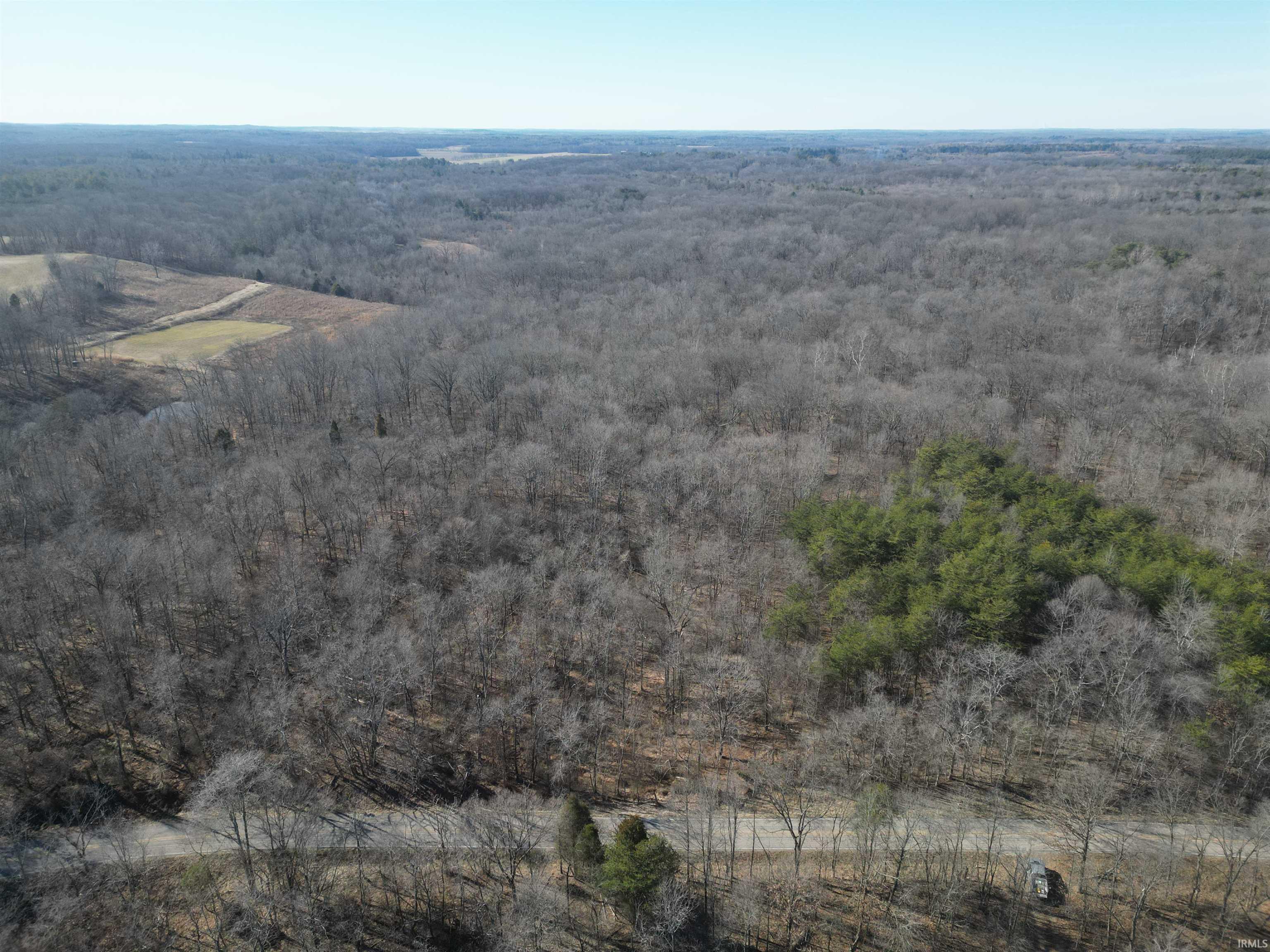 Tract 1-st Rd Tract 1-st Road Stendal, IN 47585 - Photo 18 of 36