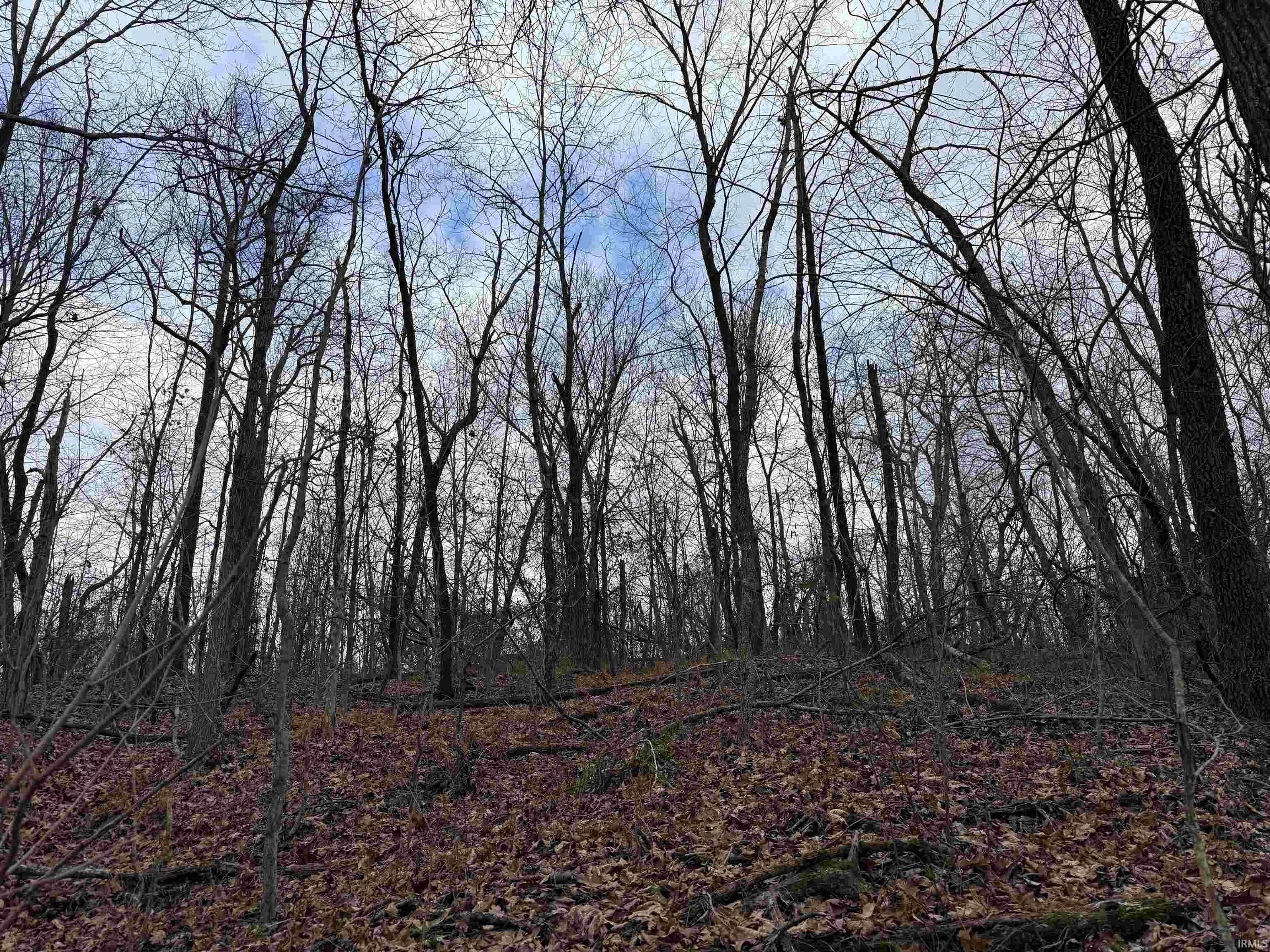 Tract 1-st Rd Tract 1-st Road Stendal, IN 47585 - Photo 20 of 36