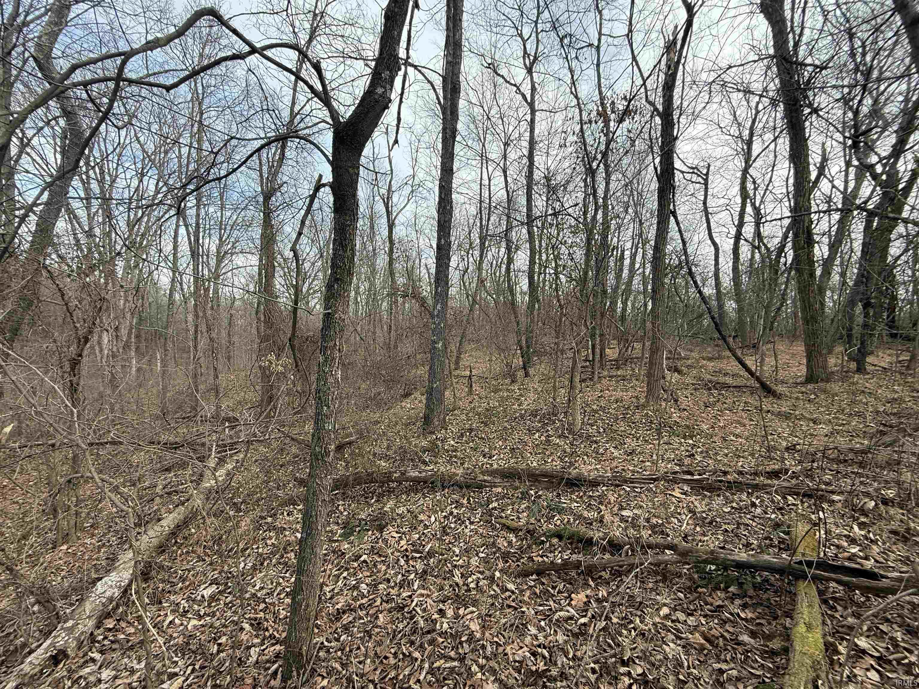 Tract 1-st Rd Tract 1-st Road Stendal, IN 47585 - Photo 21 of 36