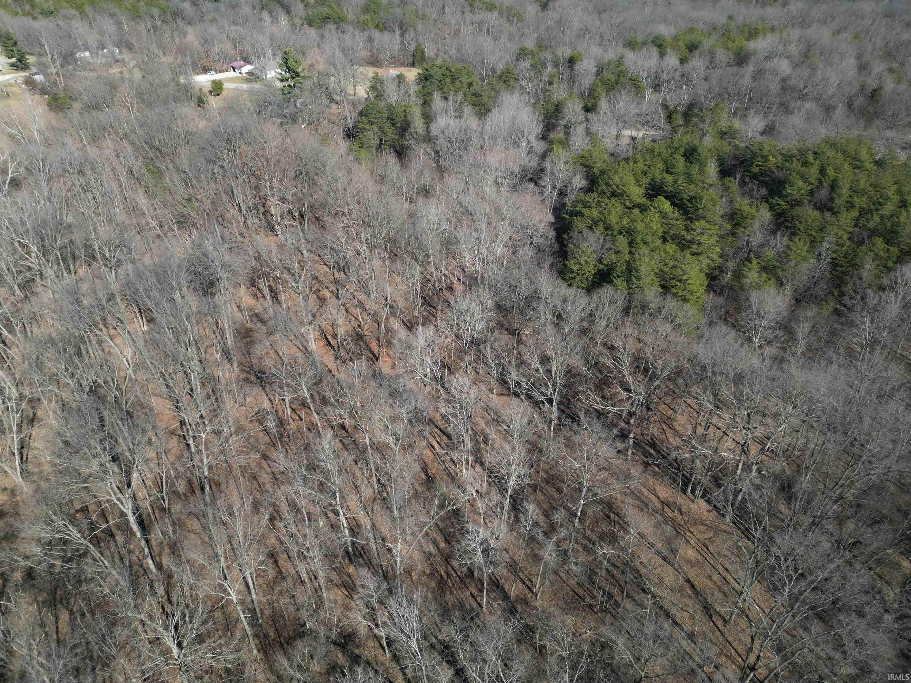 Tract 1-st Rd Tract 1-st Road Stendal, IN 47585 - Photo 23 of 36