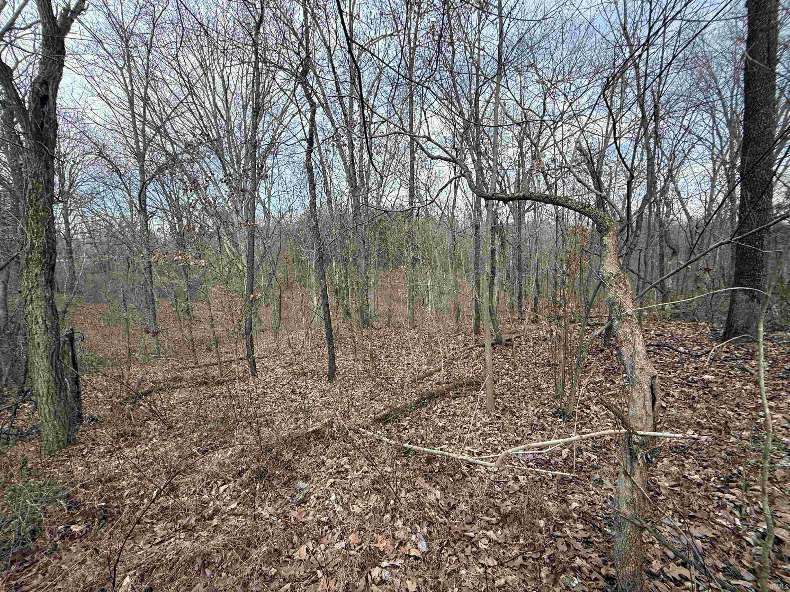 Tract 1-st Rd Tract 1-st Road Stendal, IN 47585 - Photo 24 of 36