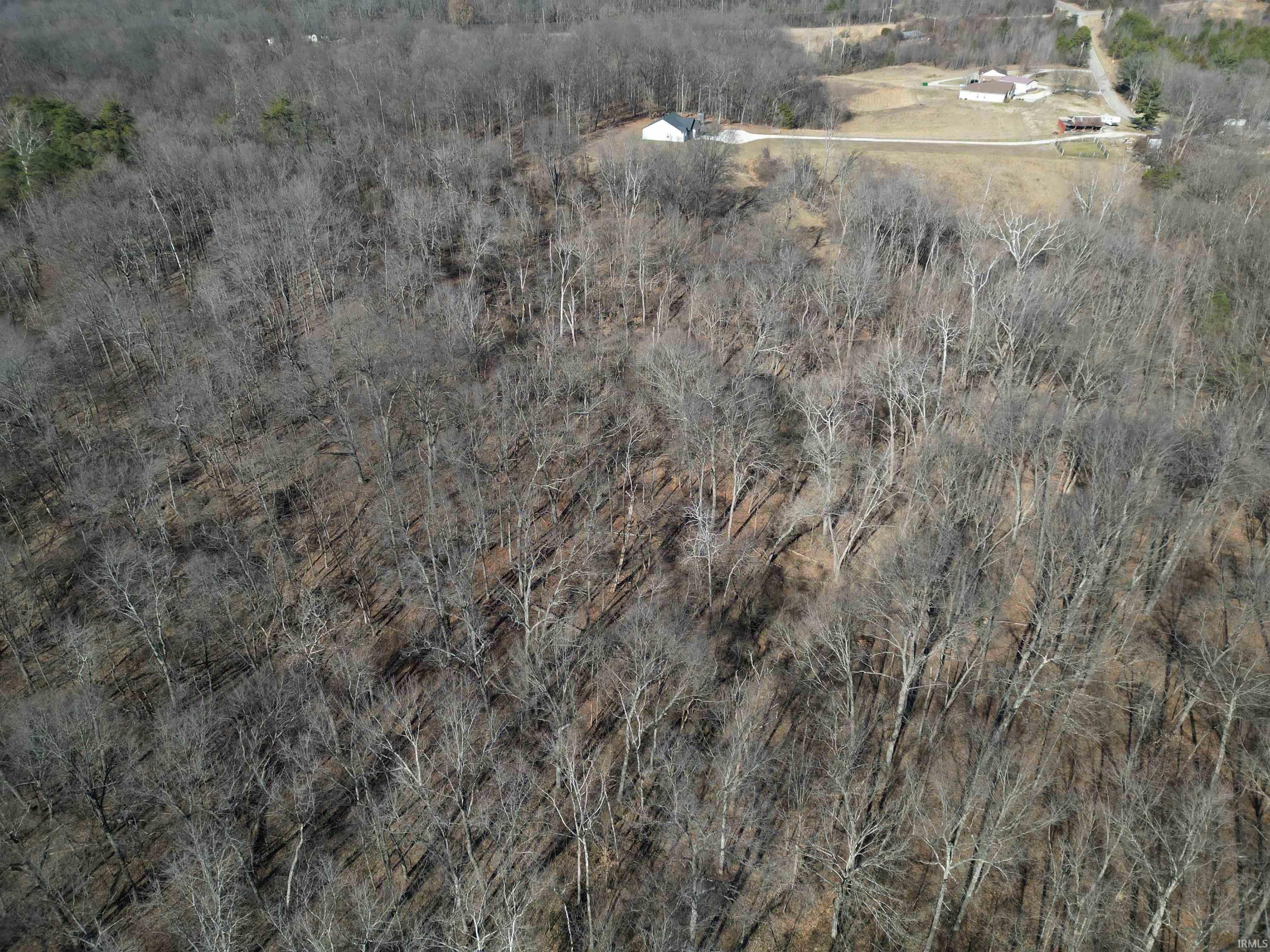 Tract 1-st Rd Tract 1-st Road Stendal, IN 47585 - Photo 25 of 36