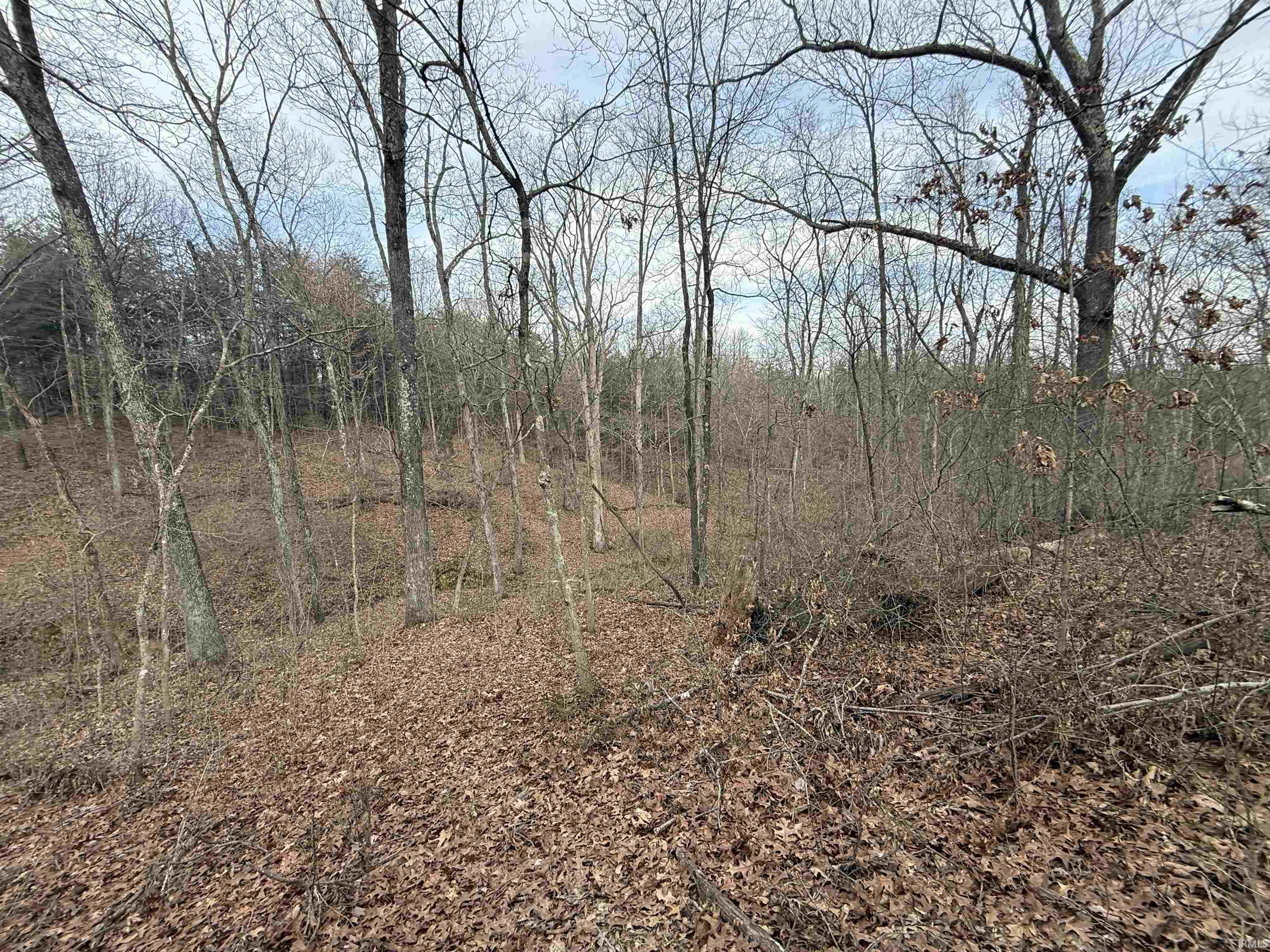 Tract 1-st Rd Tract 1-st Road Stendal, IN 47585 - Photo 26 of 36