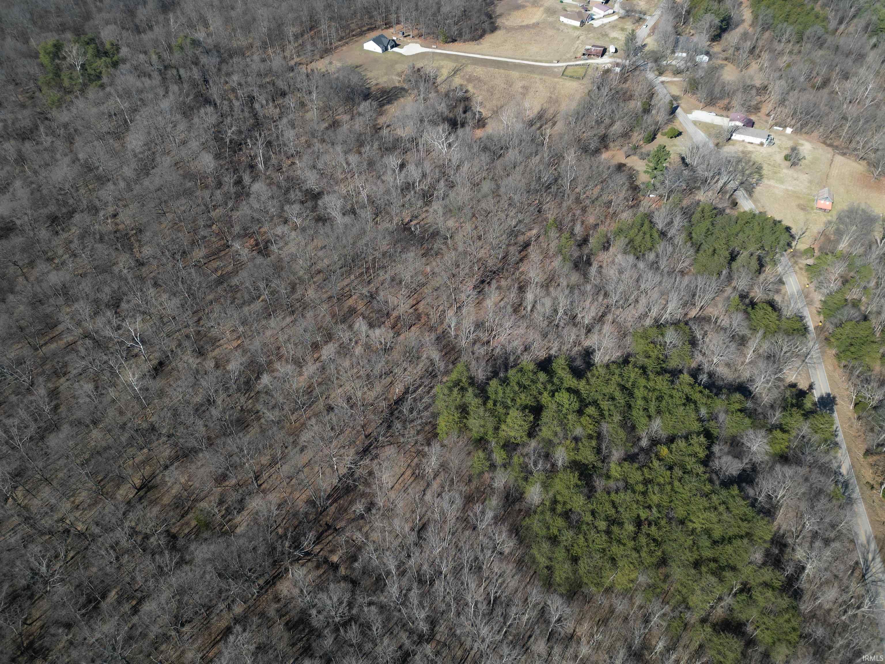 Tract 1-st Rd Tract 1-st Road Stendal, IN 47585 - Photo 27 of 36