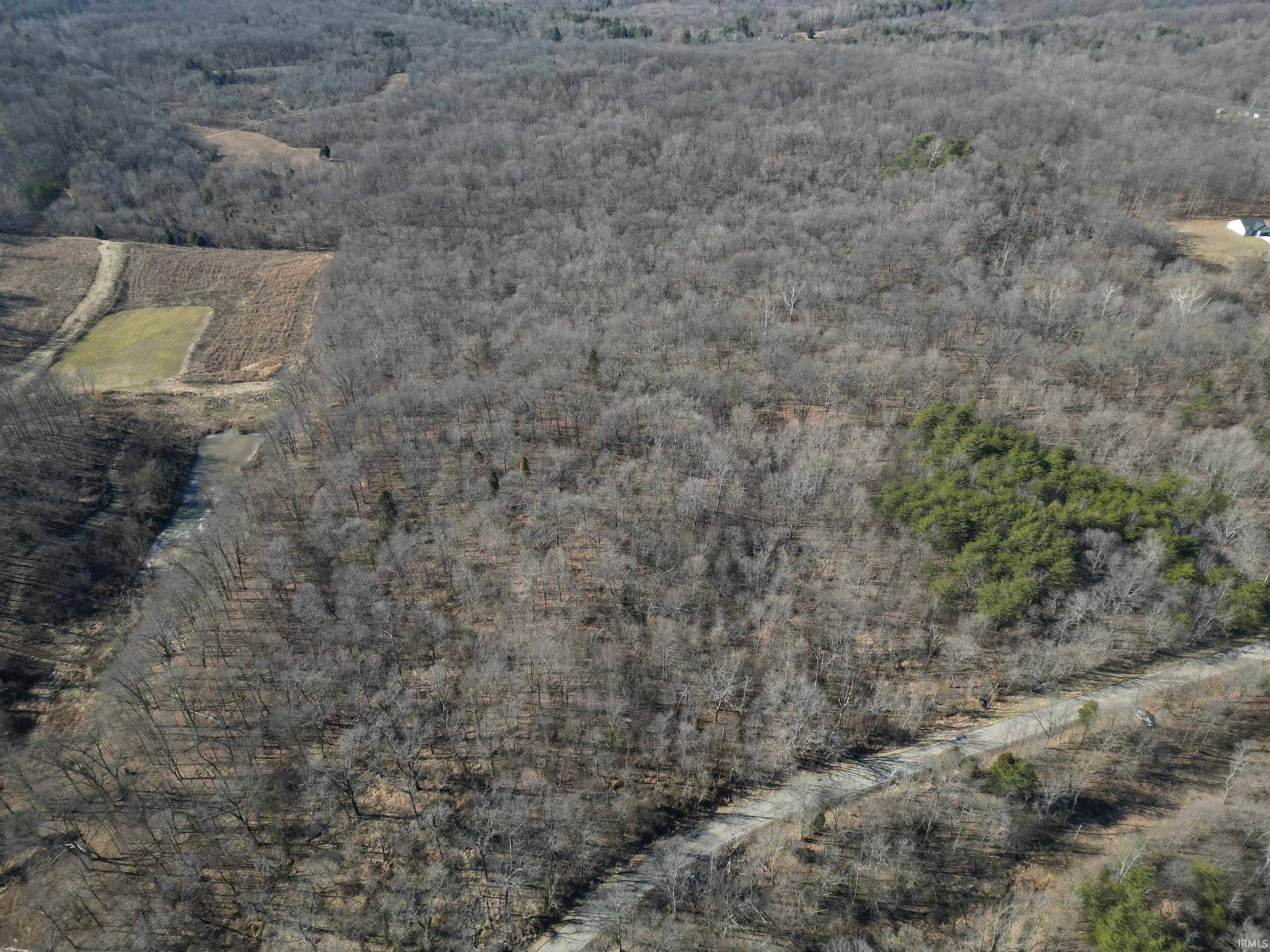 Tract 1-st Rd Tract 1-st Road Stendal, IN 47585 - Photo 28 of 36