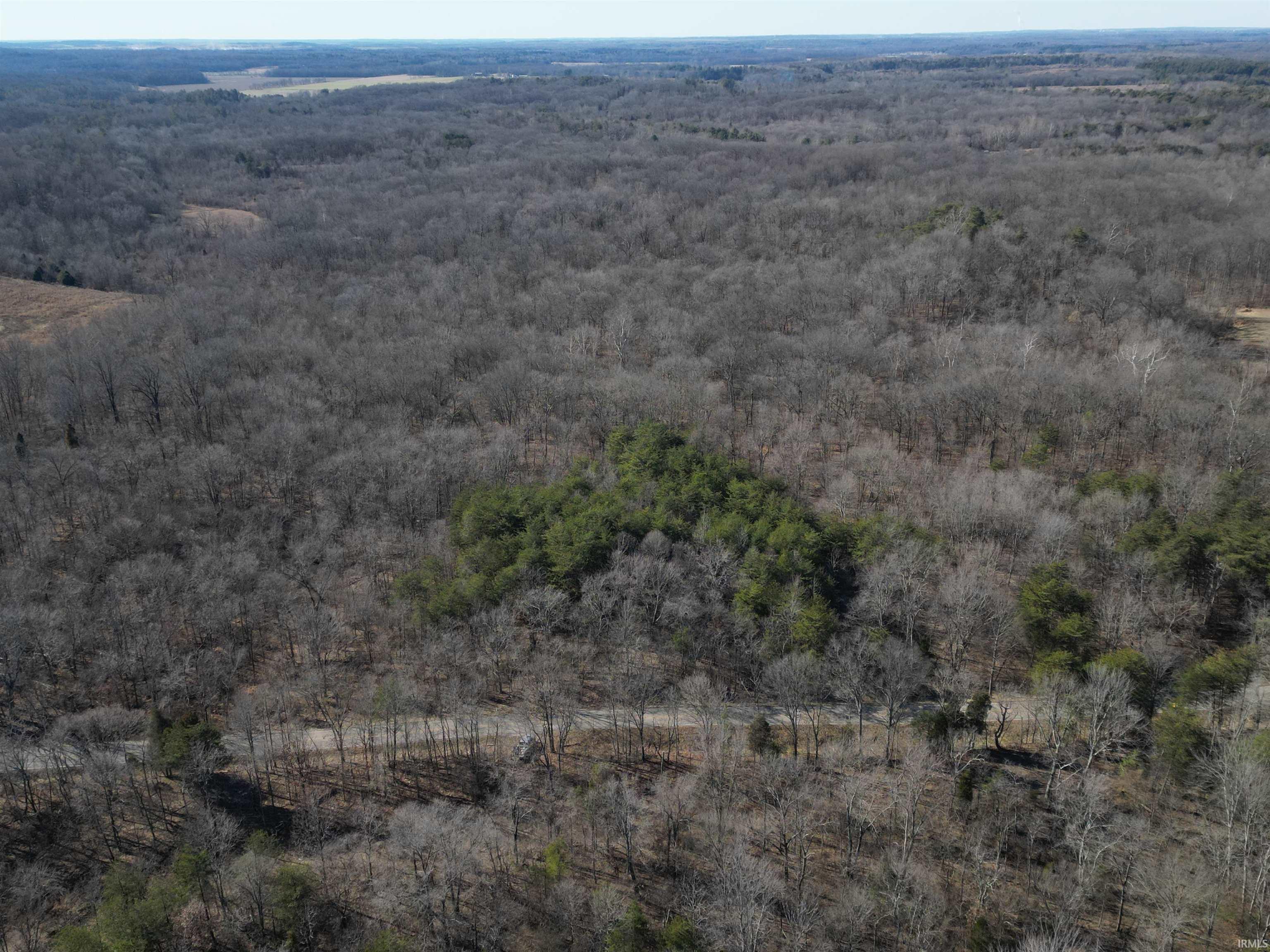 Tract 1-st Rd Tract 1-st Road Stendal, IN 47585 - Photo 29 of 36