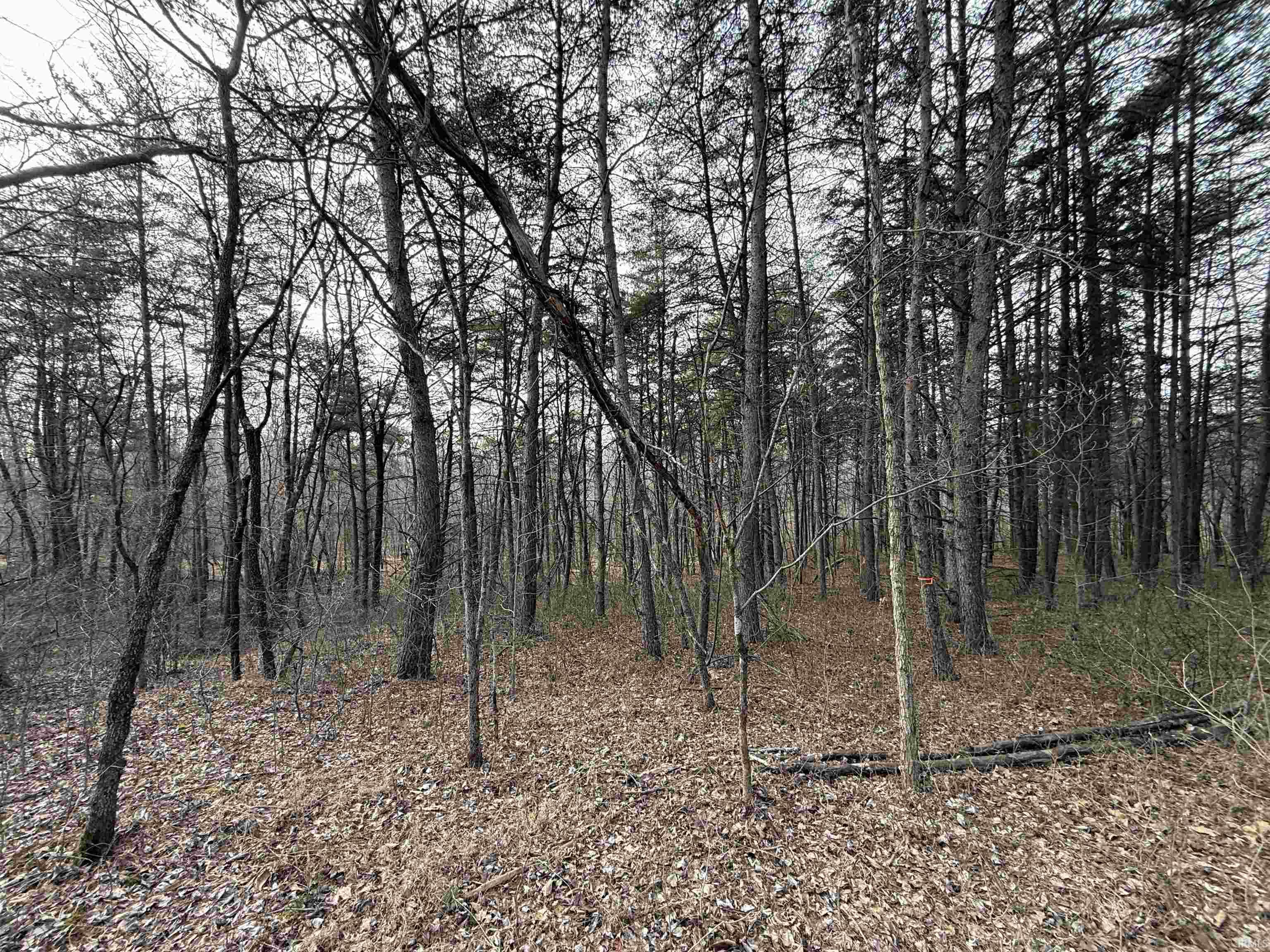 Tract 1-st Rd Tract 1-st Road Stendal, IN 47585 - Photo 30 of 36