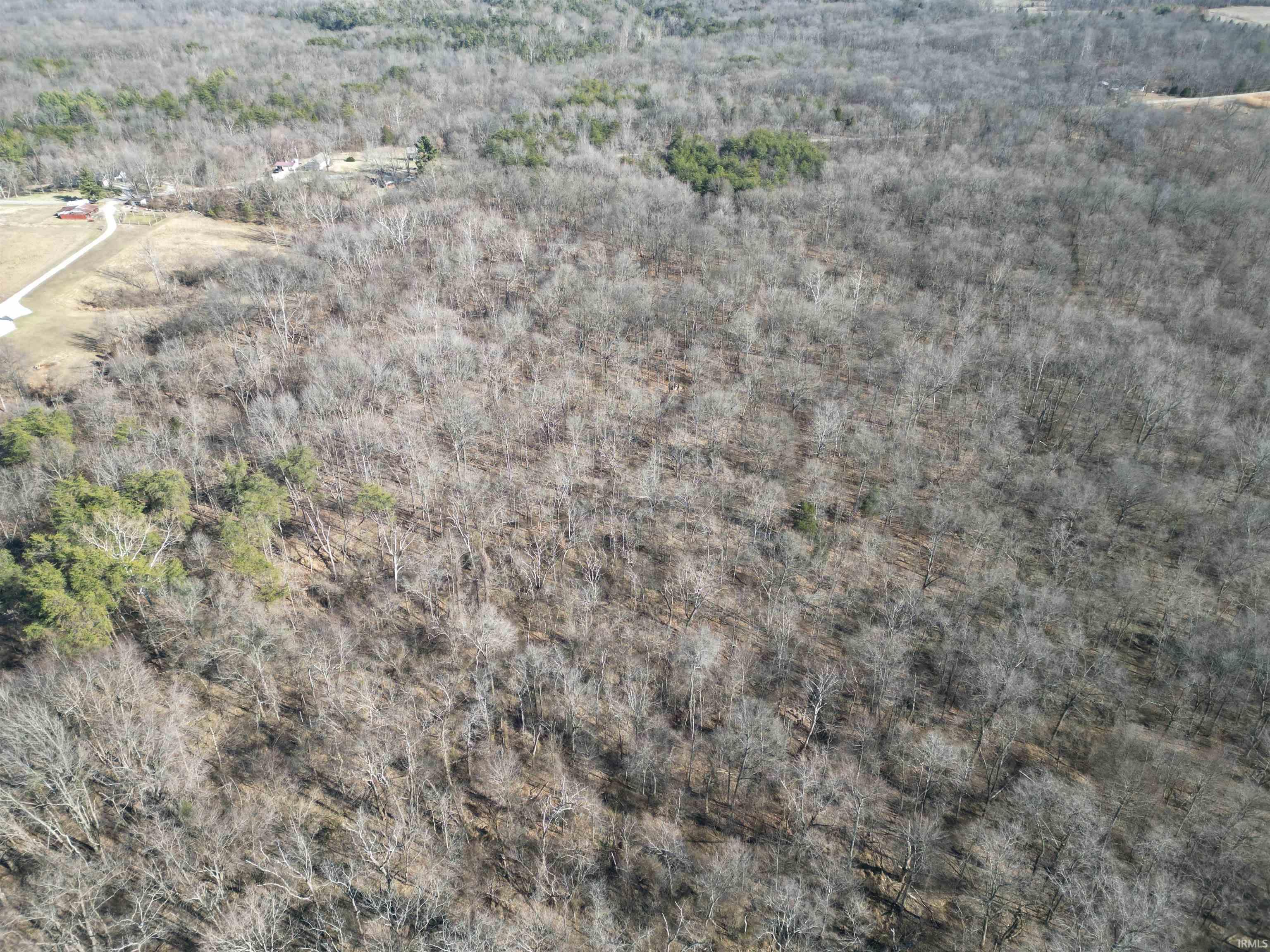 Tract 1-st Rd Tract 1-st Road Stendal, IN 47585 - Photo 31 of 36