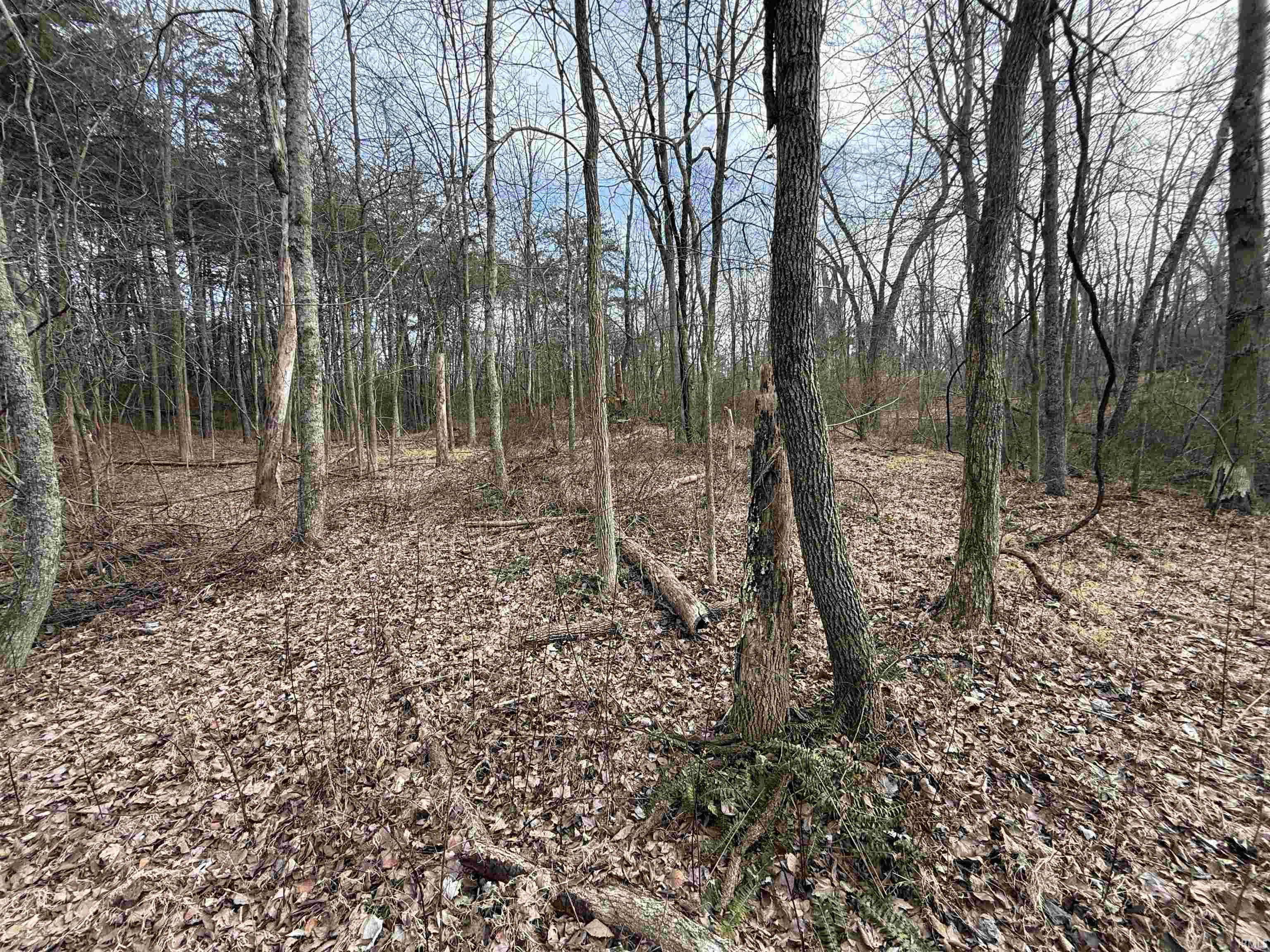 Tract 1-st Rd Tract 1-st Road Stendal, IN 47585 - Photo 32 of 36