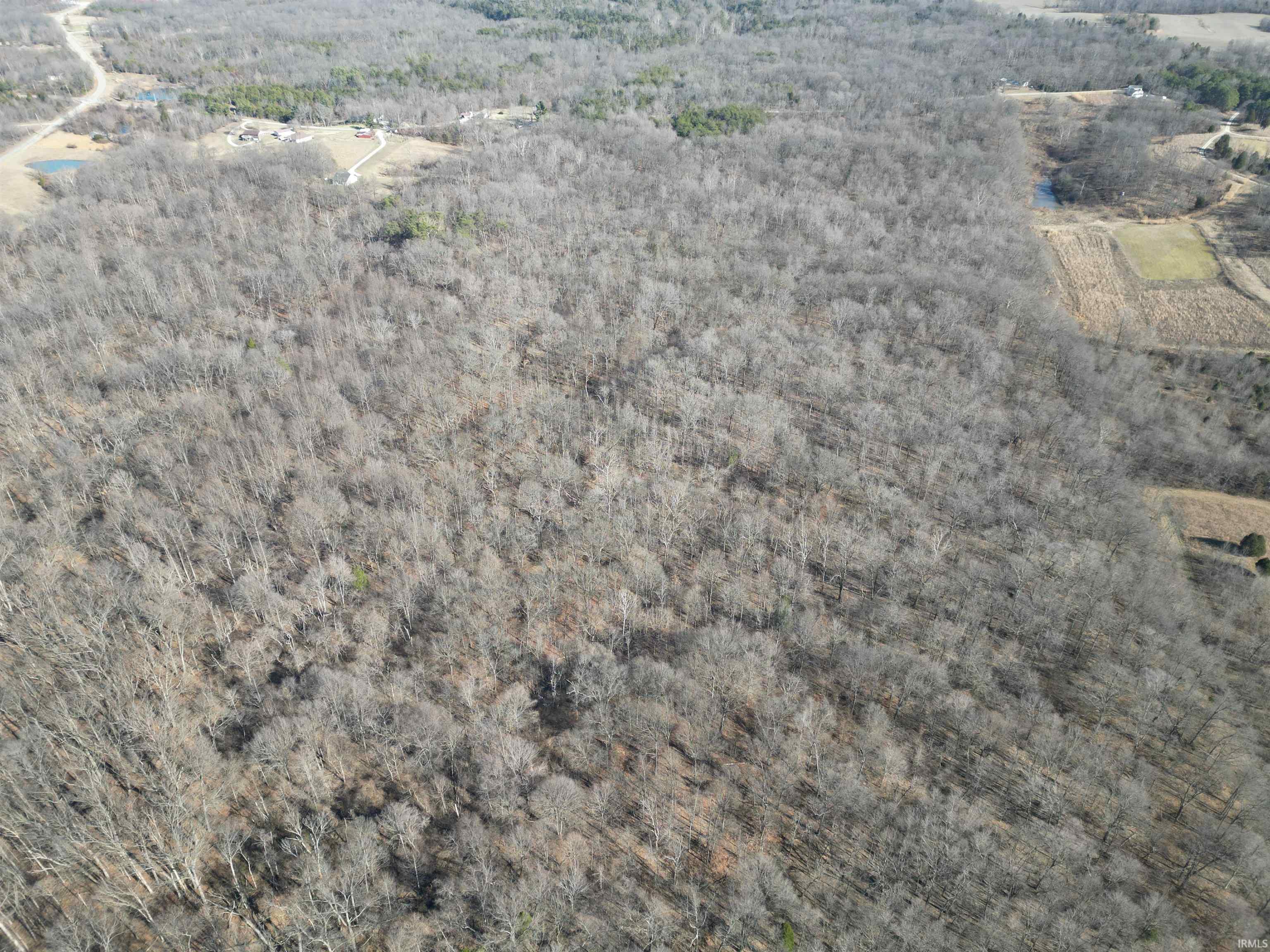 Tract 1-st Rd Tract 1-st Road Stendal, IN 47585 - Photo 34 of 36