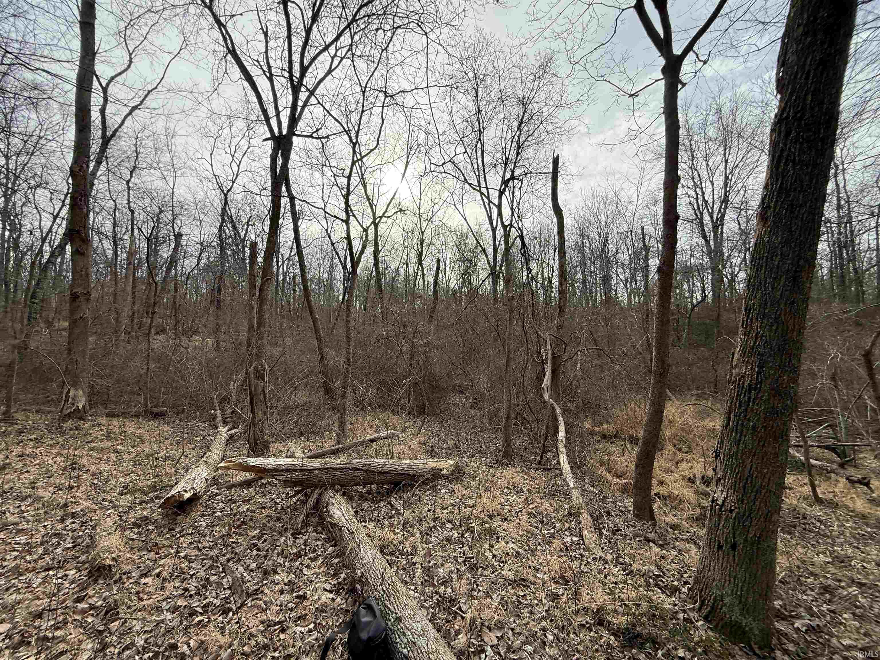 Tract 1-st Rd Tract 1-st Road Stendal, IN 47585 - Photo 35 of 36