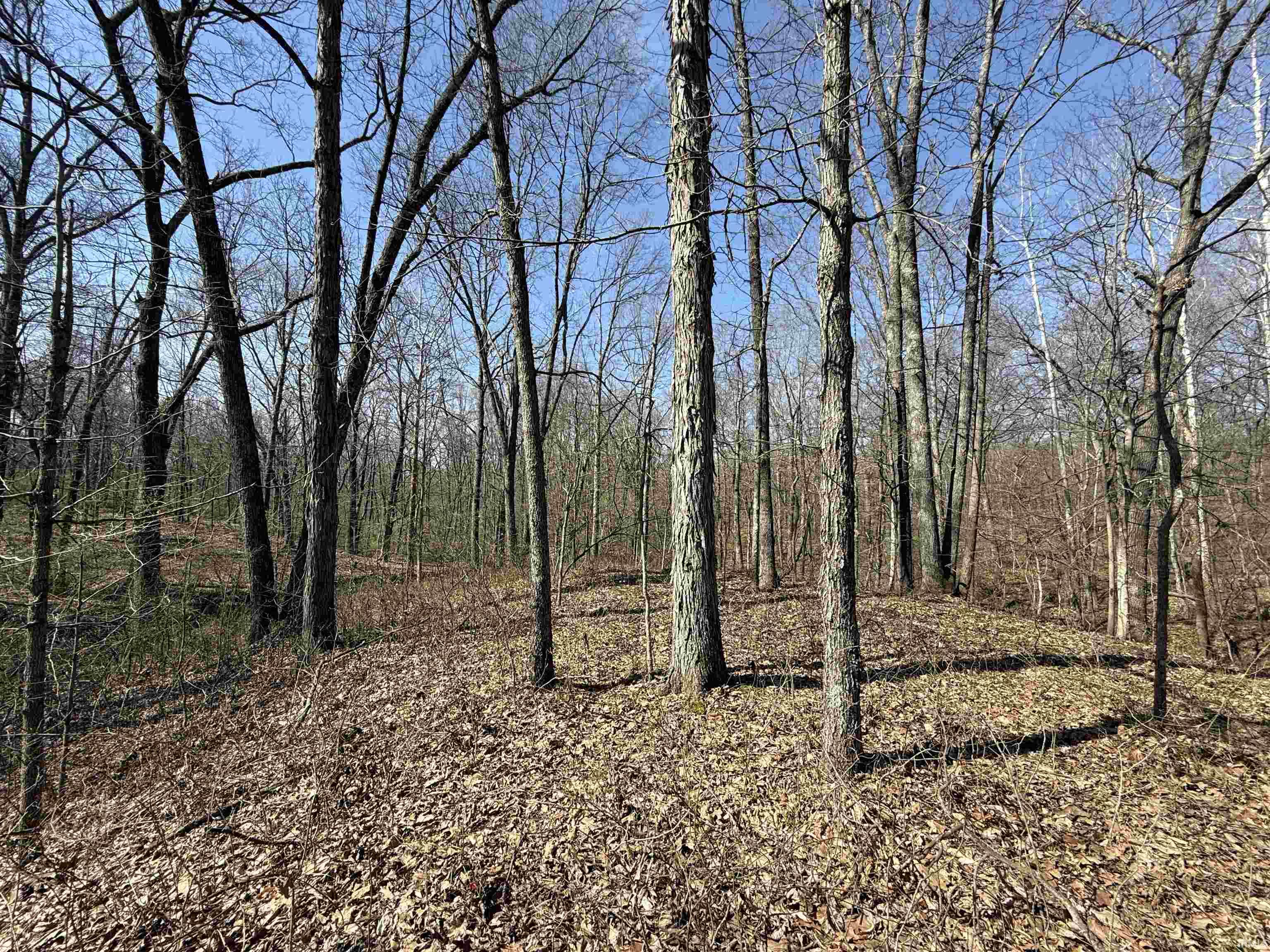 Tract 1-st Rd Tract 1-st Road Stendal, IN 47585 - Photo 36 of 36