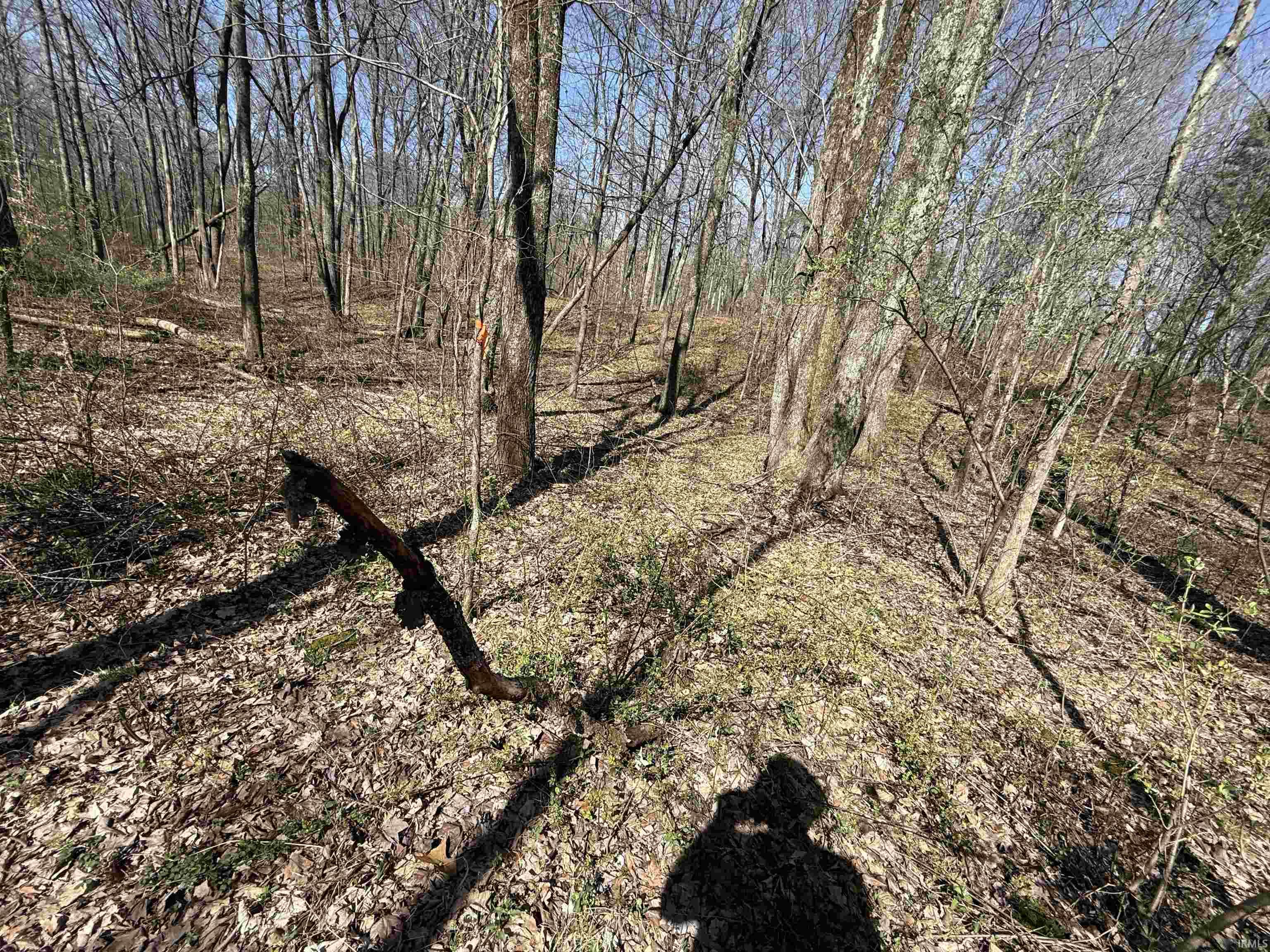 Tract 1-st Rd Tract 1-st Road Stendal, IN 47585 - Photo 4 of 36