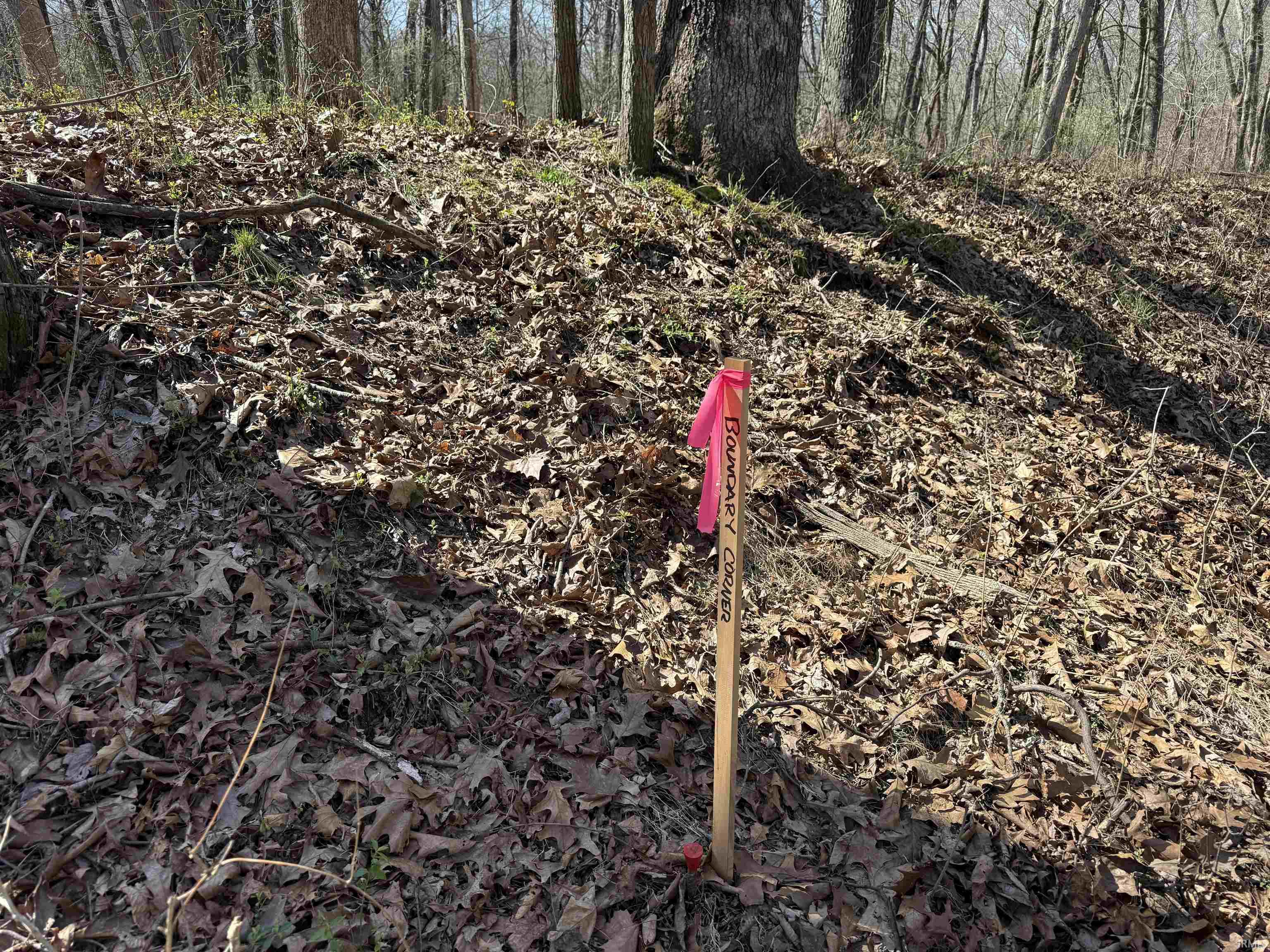 Tract 1-st Rd Tract 1-st Road Stendal, IN 47585 - Photo 7 of 36