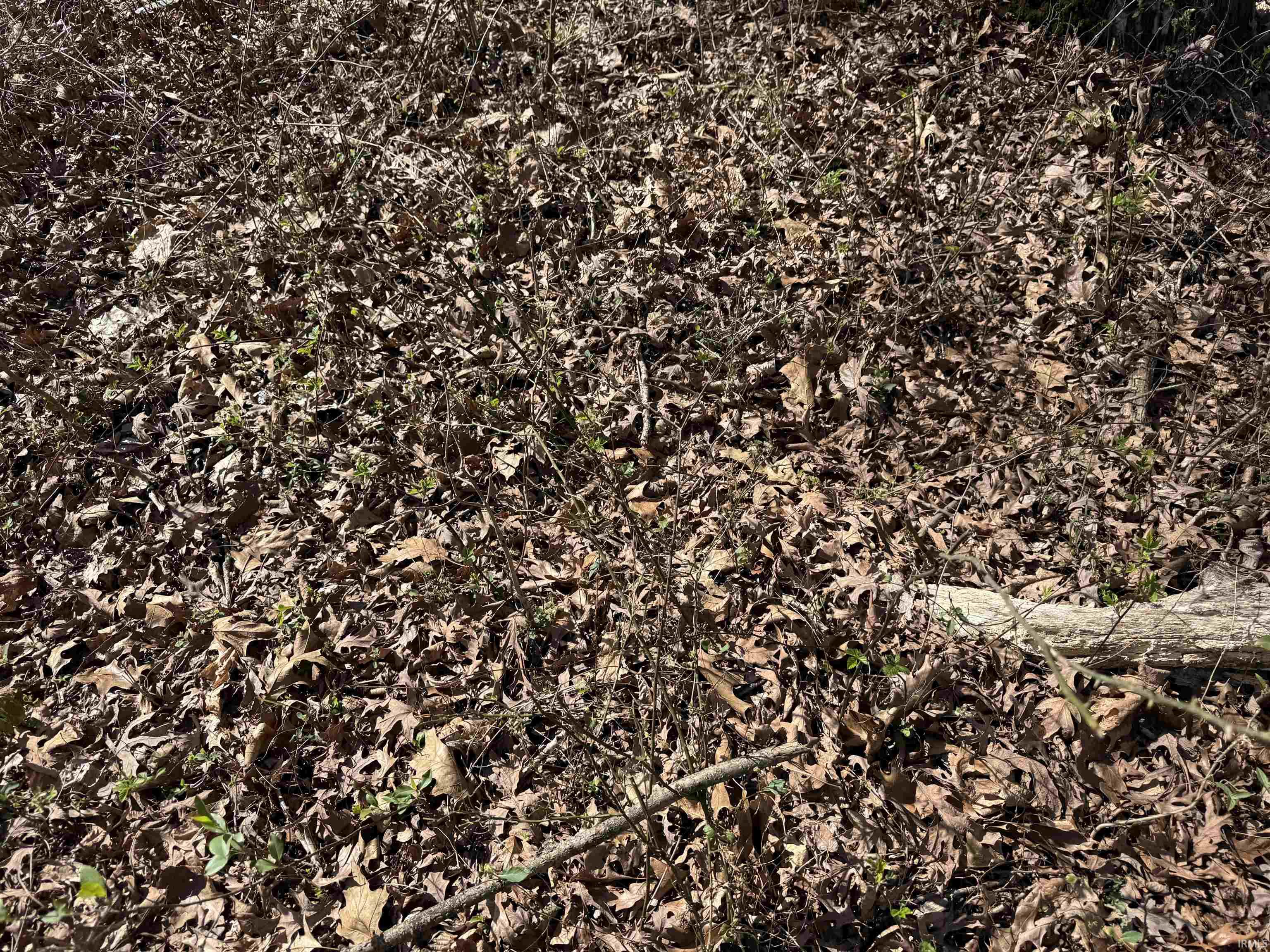 Tract 1-st Rd Tract 1-st Road Stendal, IN 47585 - Photo 10 of 36