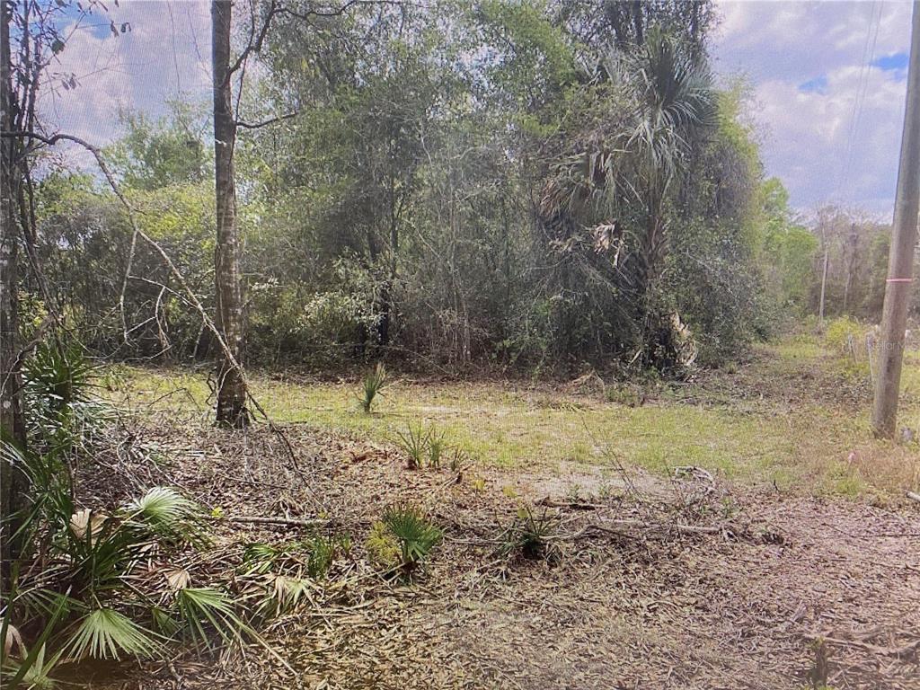0 Northeast 73rd Terrace Road Northeast Citra, FL 32113 - Photo 1 of 1