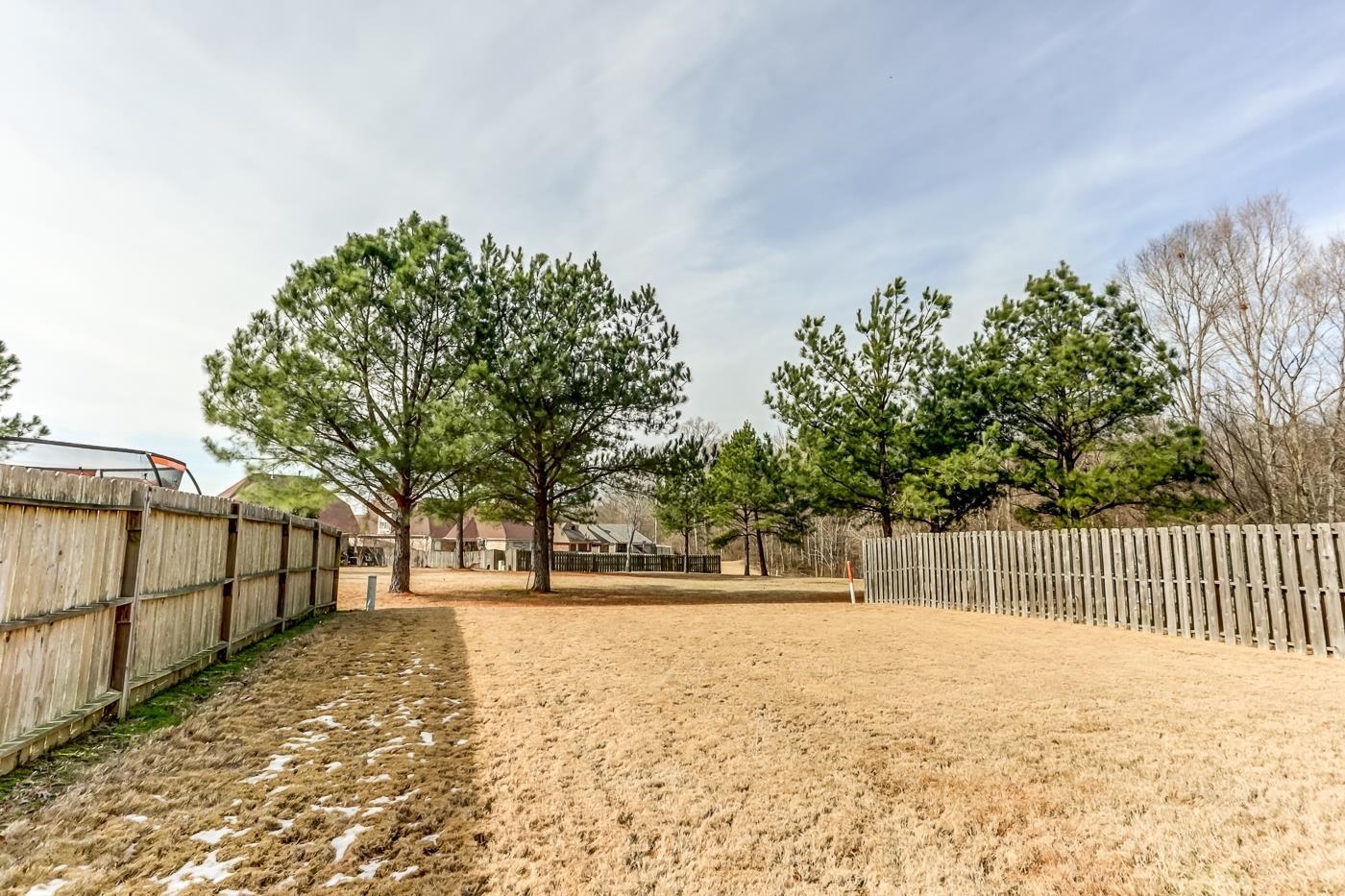 4965 Shaws Ridge Trail Arlington, TN 38002 - Photo 17 of 19 a view of a yard with a tree