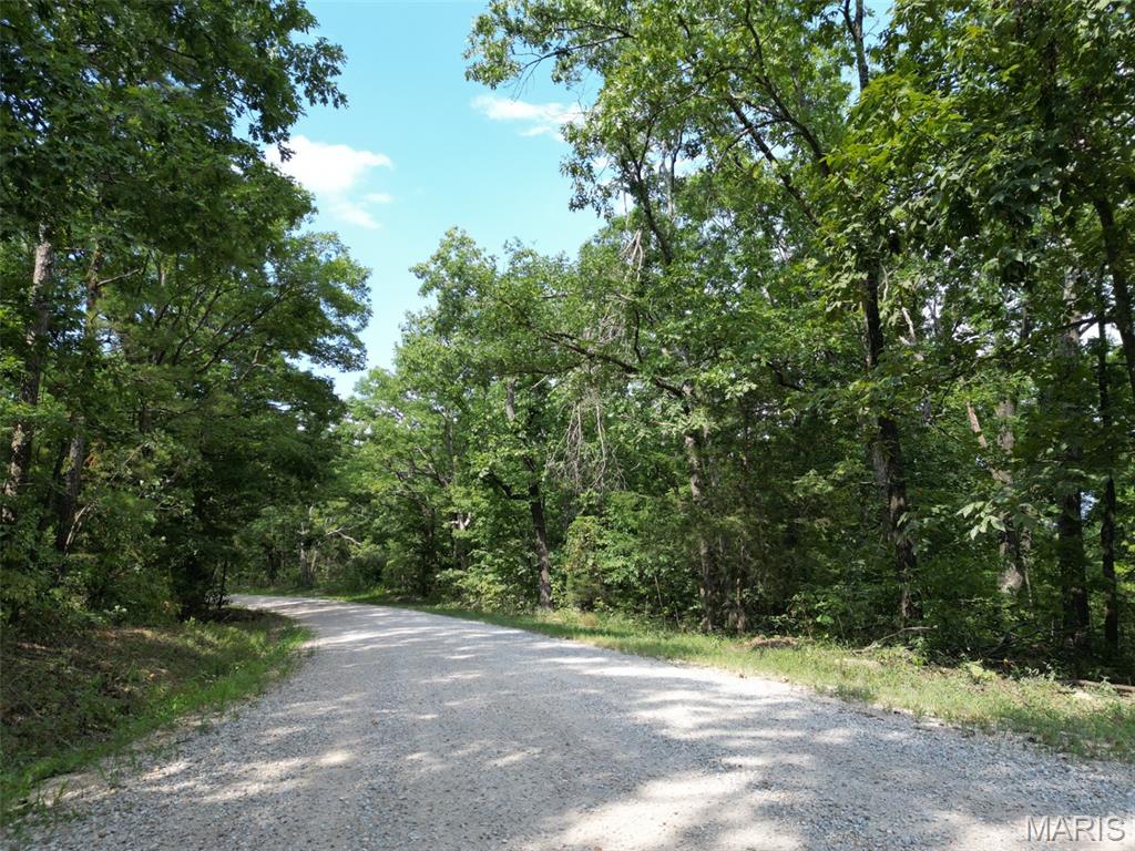 0 Bidwell Creek Road Redford, MO 63665 - Photo 2 of 5
