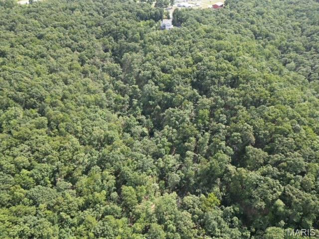 0 Bidwell Creek Road Redford, MO 63665 - Photo 3 of 5