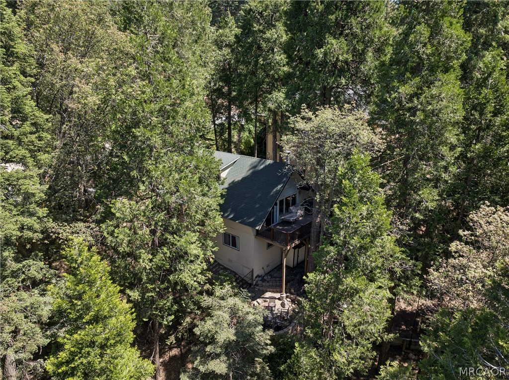 111 Grizzly Road Lake Arrowhead, CA 92352 - Photo 50 of 57