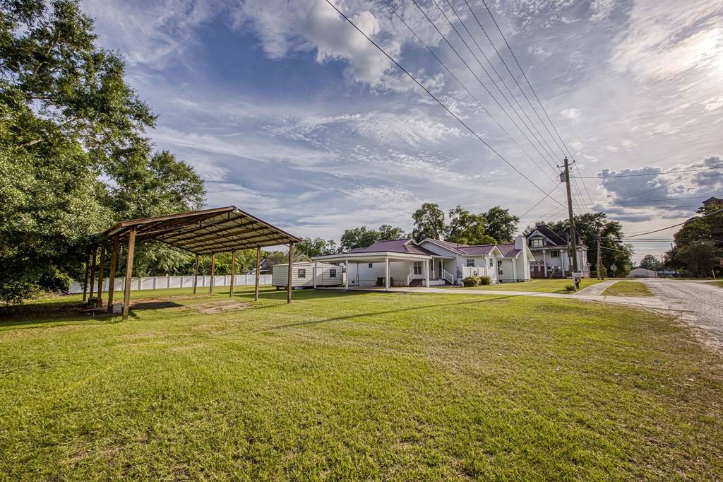 101 South Johnson Street Samson, AL 36477 - Photo 6 of 53