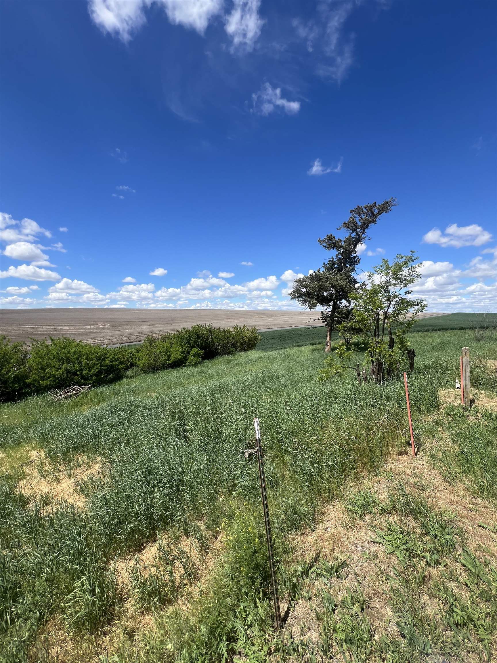 1225 Marcellus Road Ritzville, WA 99169 - Photo 34 of 48