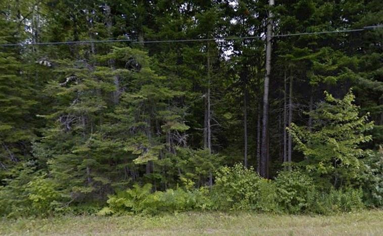 Lot 35 Bowles Road Caribou, ME 04736 - Photo 1 of 2 Photo