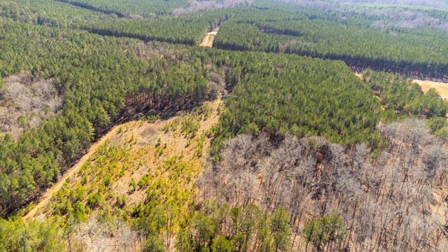 1139 Hester S Ferry Road Tignall, GA 30668 - Photo 13 of 31 DJI_0573