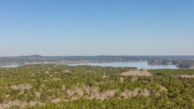 1139 Hester S Ferry Road Tignall, GA 30668 - Photo 16 of 31 DJI_0579