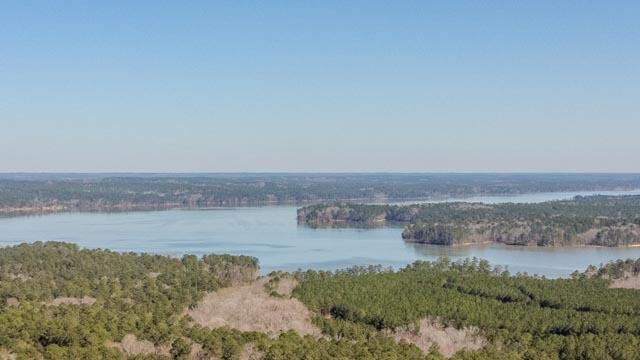 1139 Hester S Ferry Road Tignall, GA 30668 - Photo 17 of 31 DJI_0578