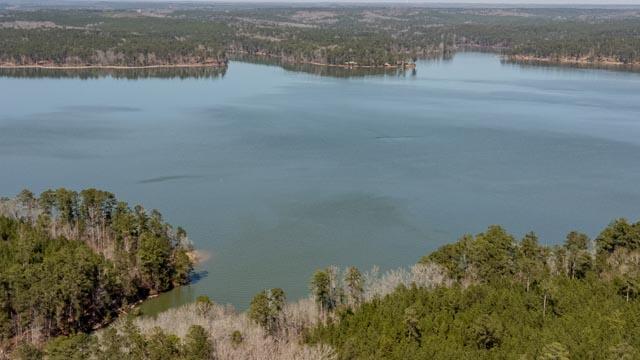 1139 Hester S Ferry Road Tignall, GA 30668 - Photo 2 of 31 DJI_0555