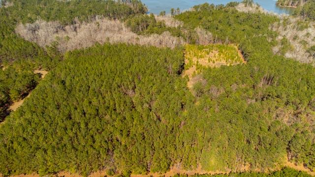 1139 Hester S Ferry Road Tignall, GA 30668 - Photo 25 of 31 DJI_0553