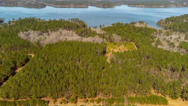 1139 Hester S Ferry Road Tignall, GA 30668 - Photo 27 of 31 DJI_0551