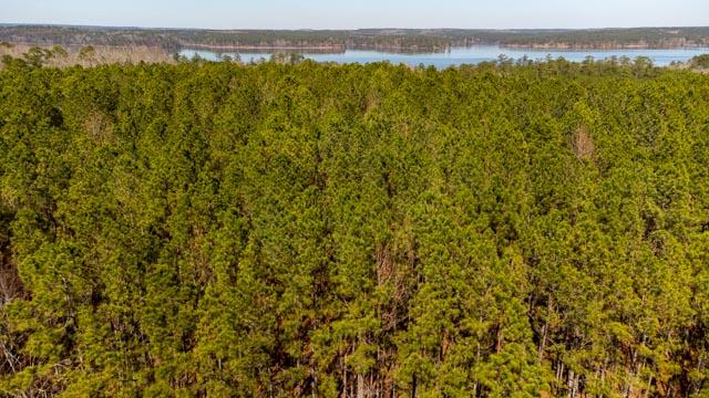 1139 Hester S Ferry Road Tignall, GA 30668 - Photo 29 of 31 DJI_0549