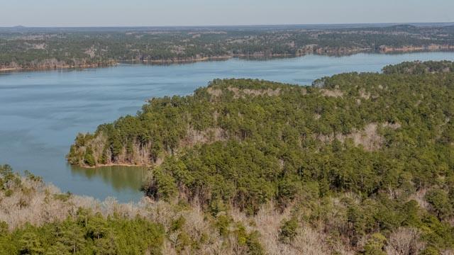 1139 Hester S Ferry Road Tignall, GA 30668 - Photo 3 of 31 DJI_0556