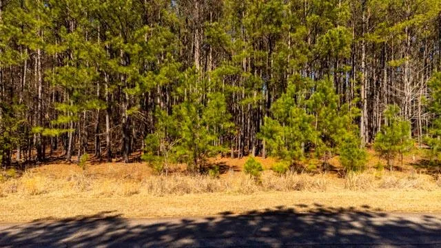 $650,000 | 1139 Hester S Ferry Road, Tignall, GA 30668