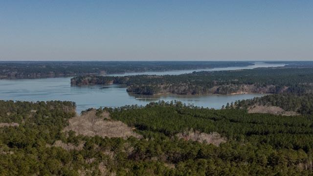 1139 Hester S Ferry Road Tignall, GA 30668 - Photo 4 of 31 DJI_0557