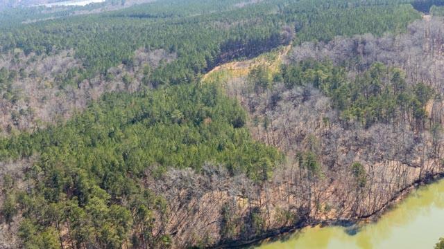 1139 Hester S Ferry Road Tignall, GA 30668 - Photo 9 of 31 DJI_0569