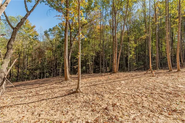 $225,000 | 1730 Traphill Union Road, Traphill, NC 28685