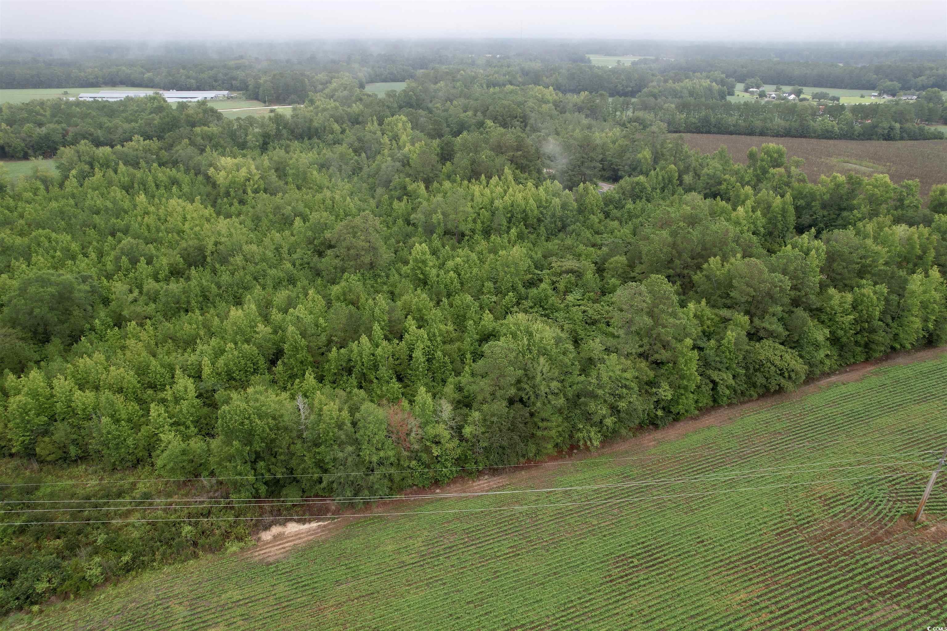 Tbd Kiwi Road Lake City, SC 29560 - Photo 5 of 11